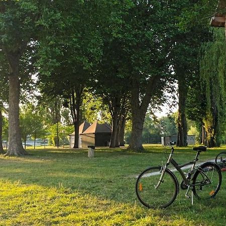 *Gite Aux Grappes Du Pressoir* A 2 Km De Beauval Seigy Bagian luar foto