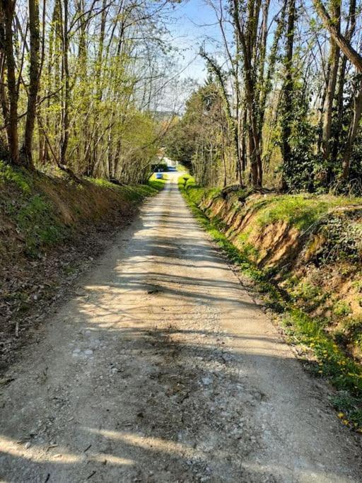 *Gite Aux Grappes Du Pressoir* A 2 Km De Beauval Seigy Bagian luar foto