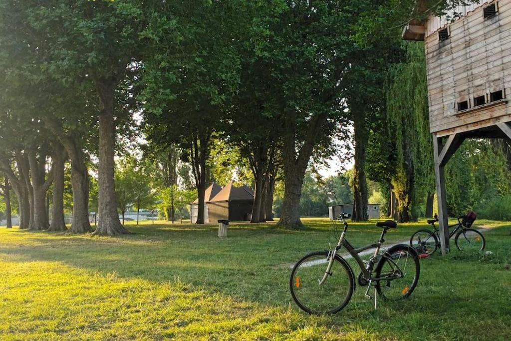 *Gite Aux Grappes Du Pressoir* A 2 Km De Beauval Seigy Bagian luar foto